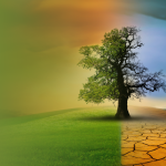 Küresel İklim Değişikliğinin Avrupa, Orta Doğu ve Türkiye'nin Ulusal Güvenliğine Etkileri