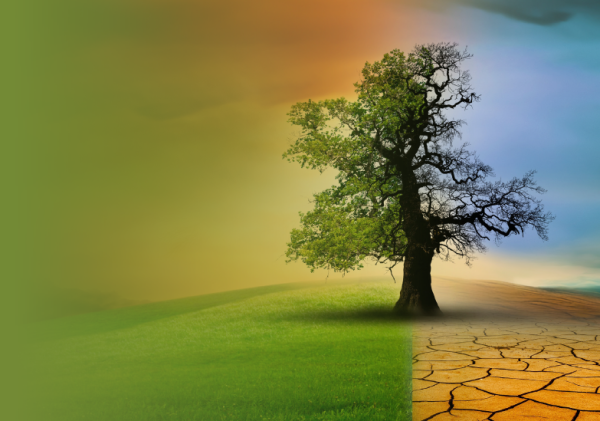 Küresel İklim Değişikliğinin Avrupa, Orta Doğu ve Türkiye'nin Ulusal Güvenliğine Etkileri