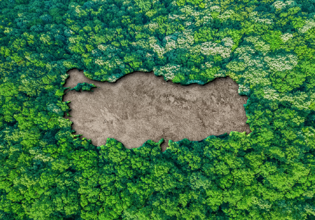 Türkiye'nin Yeşil Vatan Vizyonu, Taktik-Operatif Stratejilerin Boyutlarının Analizi ve Kavramsal Retorik