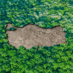 Türkiye'nin Yeşil Vatan Vizyonu, Taktik-Operatif Stratejilerin Boyutlarının Analizi ve Kavramsal Retorik