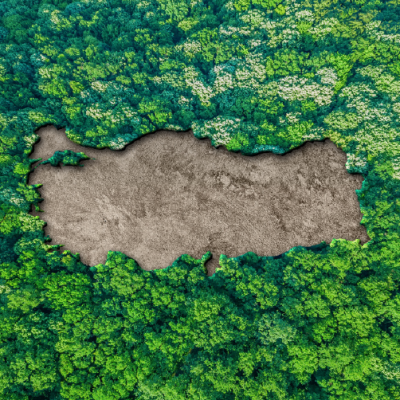 Türkiye'nin Yeşil Vatan Vizyonu, Taktik-Operatif Stratejilerin Boyutlarının Analizi ve Kavramsal Retorik