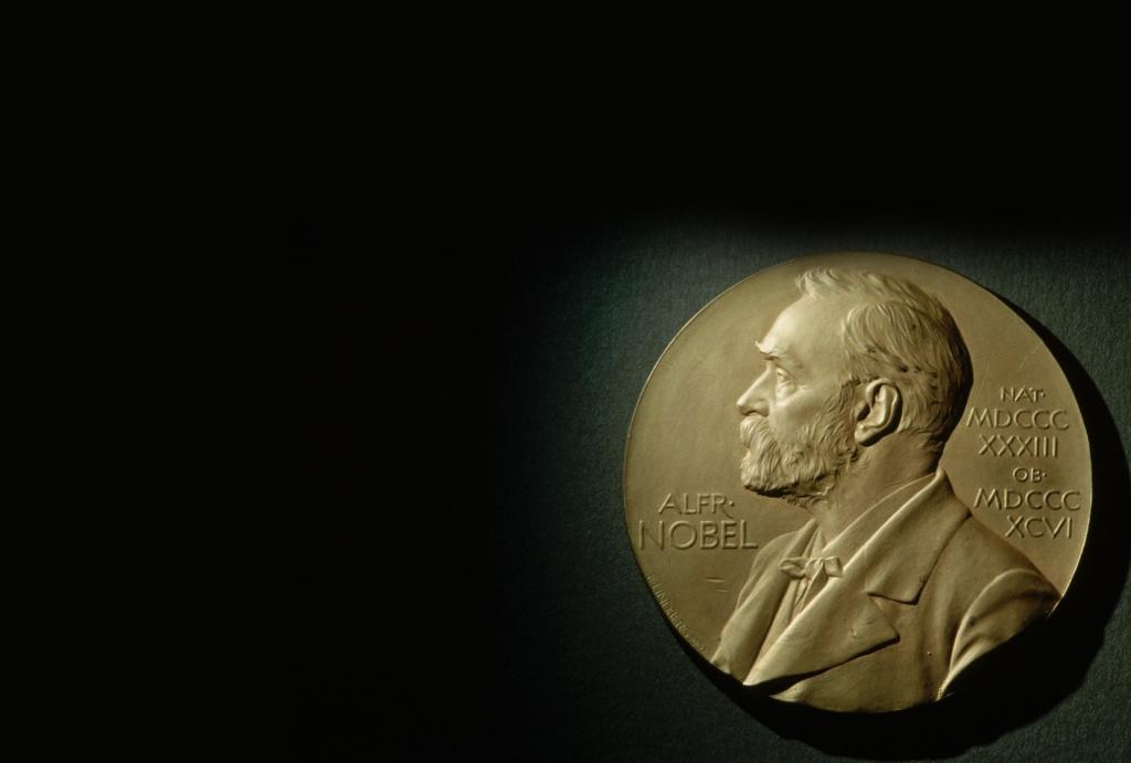 2025 Nobel Ekonomi Ödülü Üzerine