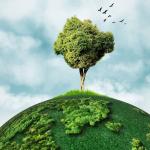 İklim Savaş Oyunları: Askerî Stratejide Yeni Bir Simülasyon Alanı