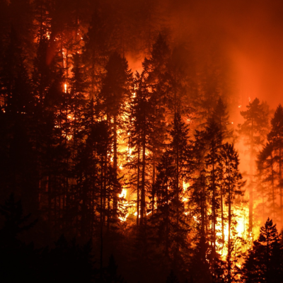 Yeşil Vatanı Korumak